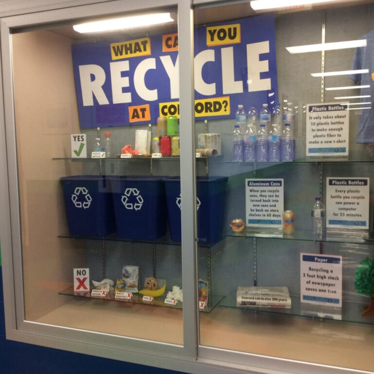 School Recycling Displays That Inspire Everyone to Recycle